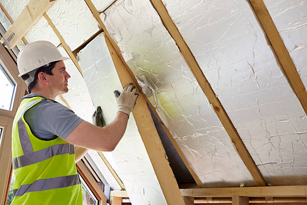 Best Eco-Friendly or Green Insulation Solutions  in Geneva, IL